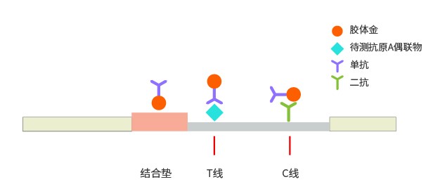 競爭法膠體金檢測平臺(tái)