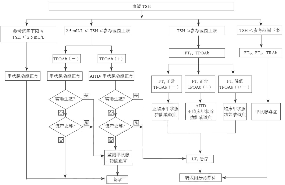 孕前血清TSH篩查、診斷和管理流程