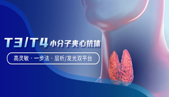 【小分子夾心法】甲功T3/T4，高靈敏&一步法